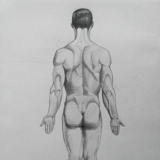 Human Figure Drawing - Back (Graphite on Paper)